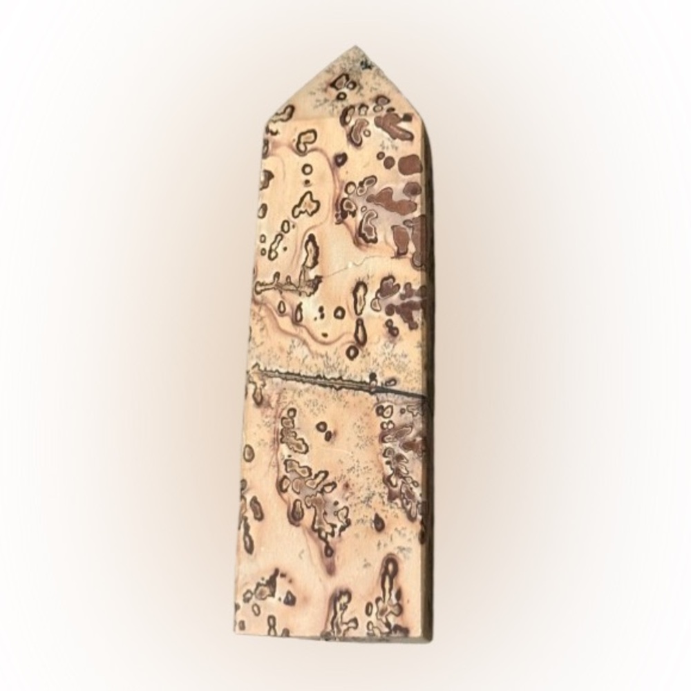 Picture Jasper